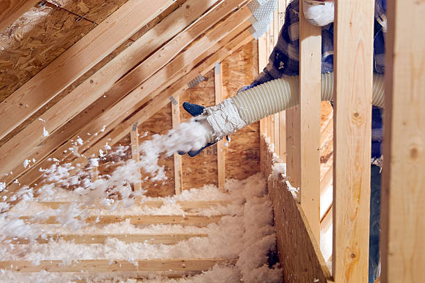 Types of Insulation We Offer in Gloucester Point, VA